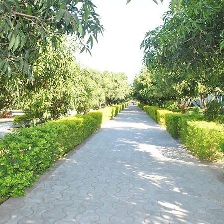 Gir Jungle Lodge Sasan Gir Exterior foto
